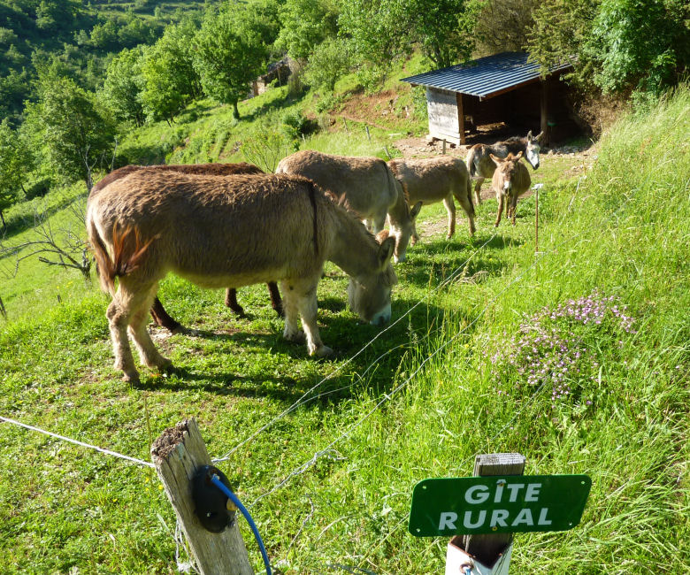 location gite aveyron